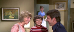 Brady Bunch screenshot